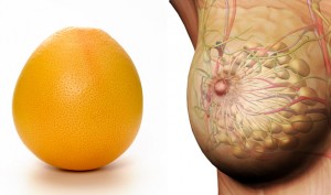 grapefruit sani