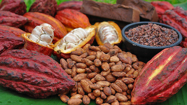 remedii casnice anti-imbatranire cacao