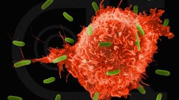 5 metode simple pentru a-ti intari sistemul imunitar!