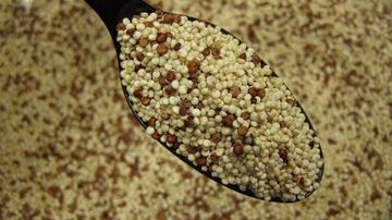 Quinoa, o cereală minune