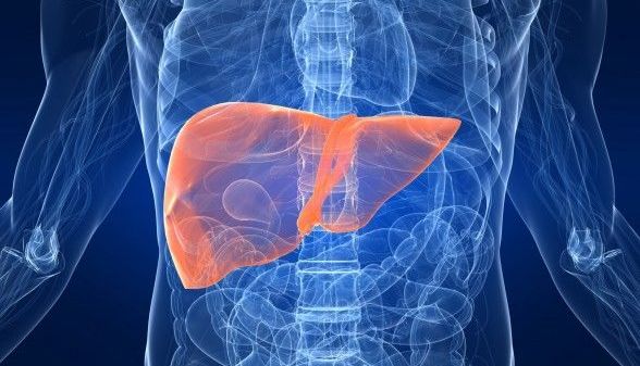 vindecarea zilnică a dezintoxicării rinichilor de colon