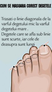 degetele picioarelor)