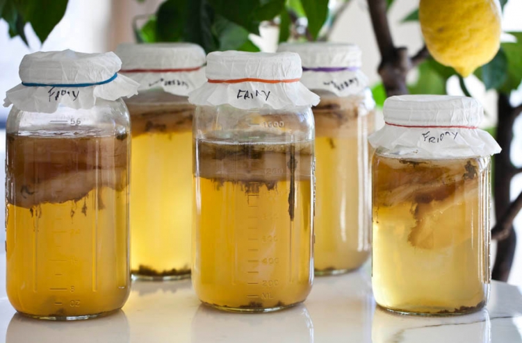 kombucha-revitalizant pentru sanatate
