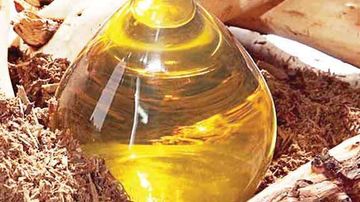 Beneficiile uleiului de santal pentru piele