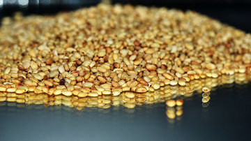 Peste 12 beneficii pentru sanatate ale semintelor si uleiului de susan