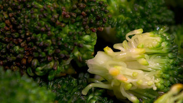Cum gatim corect broccoli pentru a pastra nutrientii