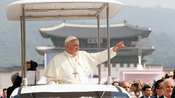 Papa Francis denunta organismele modificate genetic si pesticidele