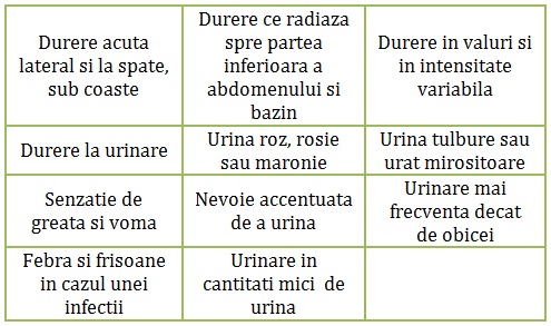 Top 15 Tratamente Naturiste Pentru Pietre la Rinichi (Calculi Renali)