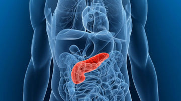 Un pancreas mai slab cu doar 1 gram poate reversa evolutia diabetului de tip 2