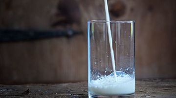 Caracterul nociv al laptelui, expertiza unui medic 