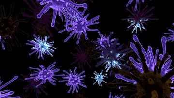 Ce sunt virusurile si ce metode naturale se cunosc pentru combaterea acestora