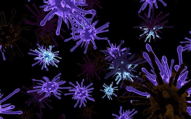 virusuri bacteriene ciuperci și imagini parazite