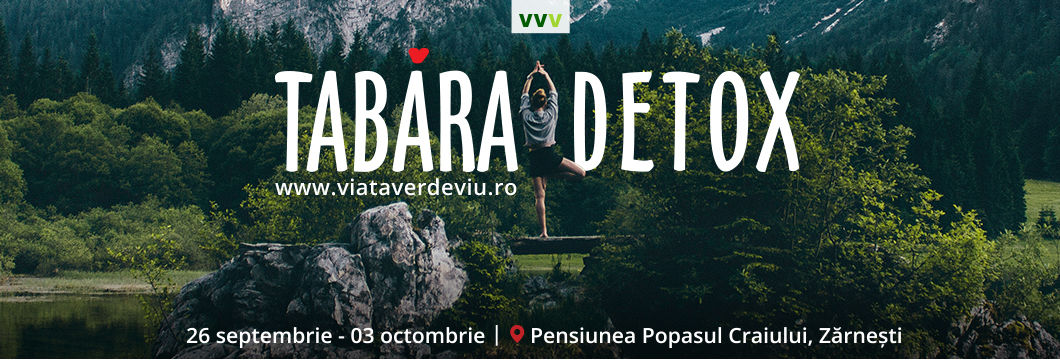 Tabere detoxifiere , Tabara Master Detox – Master Detox Romania