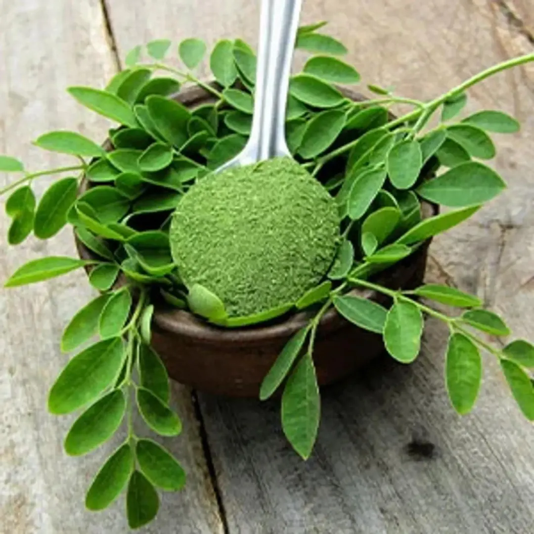 Moringa