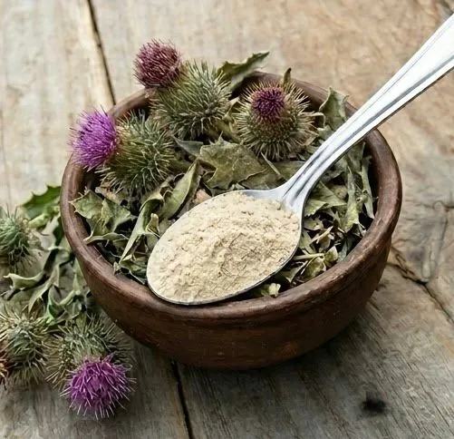 Moringa
