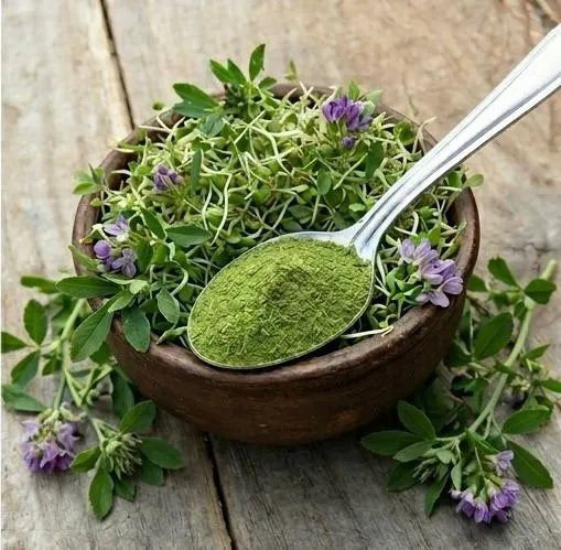 Chlorella