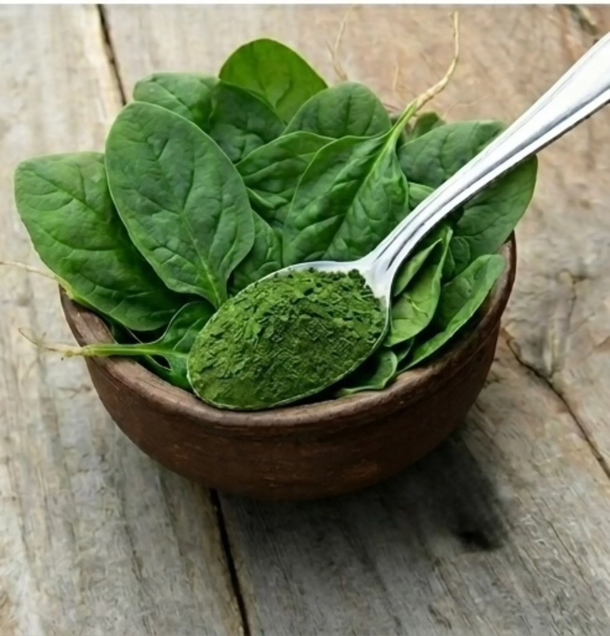Moringa