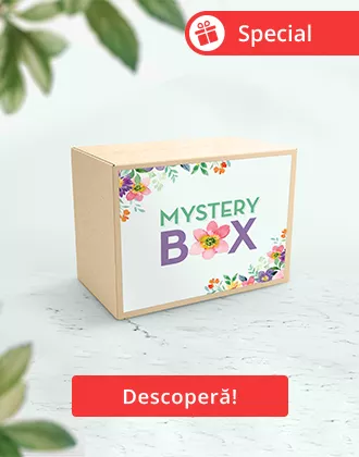 shop-secondary-mystery-box