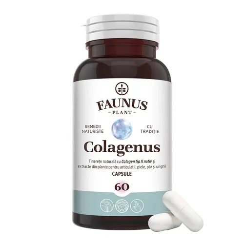 Colagenus Capsule - Colagen Concentrat Tip II Pentru Articulații, Piele, Păr Și Unghii, 60 capsule | Faunus Plant