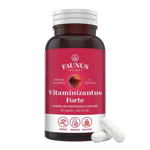 Vitaminizantus Forte - Multivitamine Și Minerale - Echilibru, Energie Și Vitalitate, 90 capsule | Faunus Plant