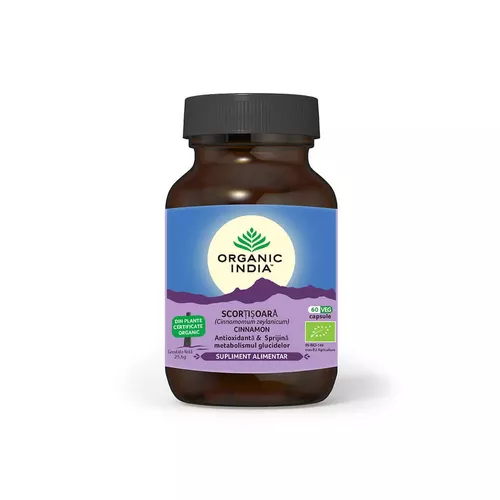 Scortișoară Zeylanicum (Ceylon), Antioxidant și Glicemie, 60 cps ECO | Organic India