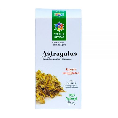 Astragalus 500mg, 60 capsule | Steaua Divină Steaua Divină imagine noua