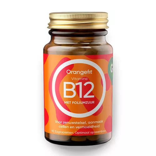 Vitamina B12 cu Acid Folic, 90pastile | Orangefit Pret Mic Orangefit imagine noua