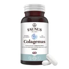 Colagenus Capsule - Colagen Concentrat Tip II Pentru Articulații, Piele, Păr Și Unghii, 60 capsule | Faunus Plant
