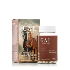 Shoden® Ashwagandha, 60 capsule| GAL